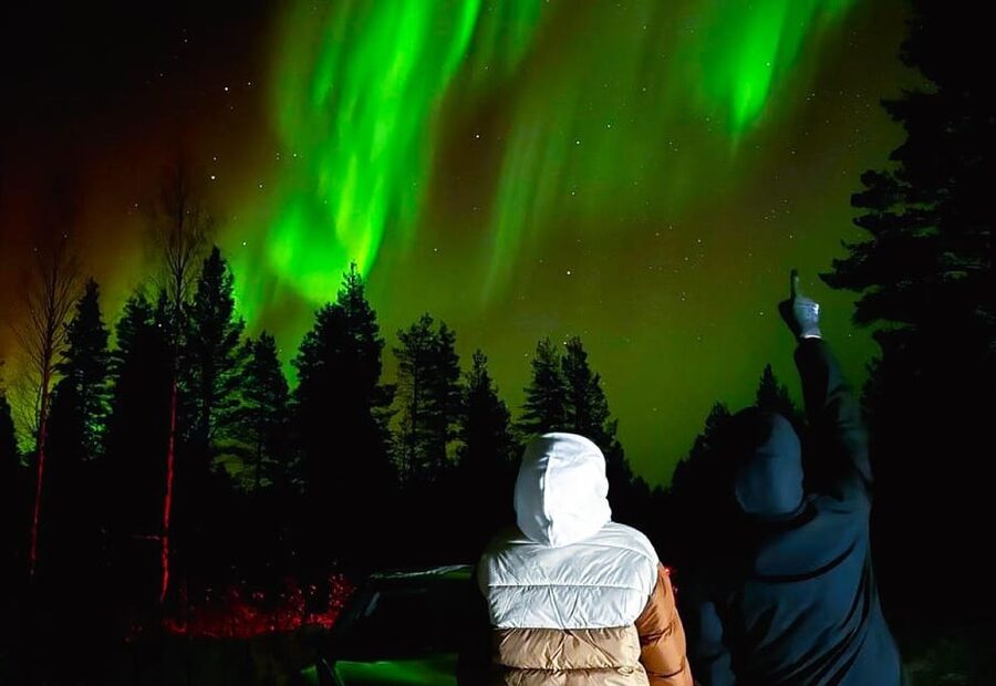 Rovaniemi: Northern Lights Tour with BBQ - Key points to know before you book