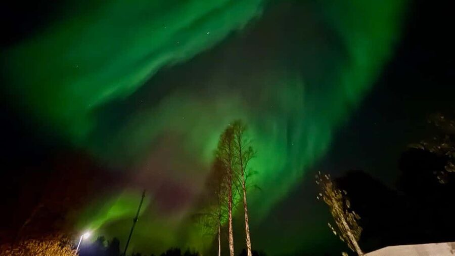 Rovaniemi: Northern Lights Tour with BBQ - The Finnish BBQ beside the fire