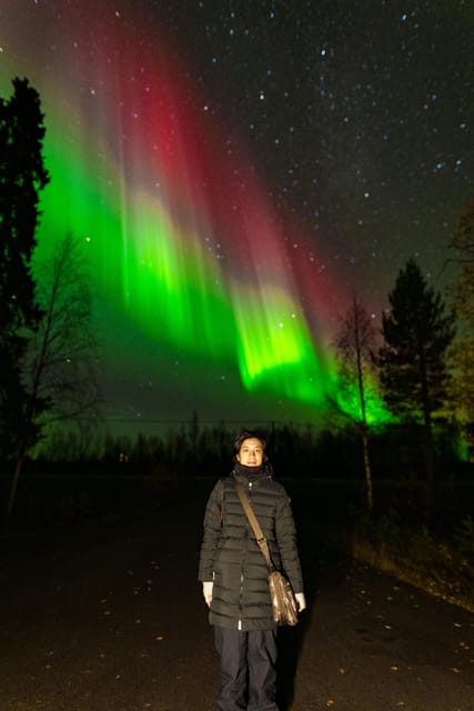 Rovaniemi: Northern Lights Tour with Guarantee - Guides who keep looking