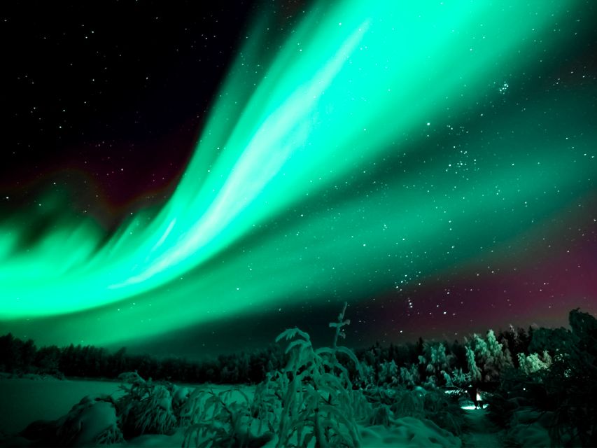 Rovaniemi: Northern Lights Tour with Guaranteed Sightings - The long drive north, west, or across the border