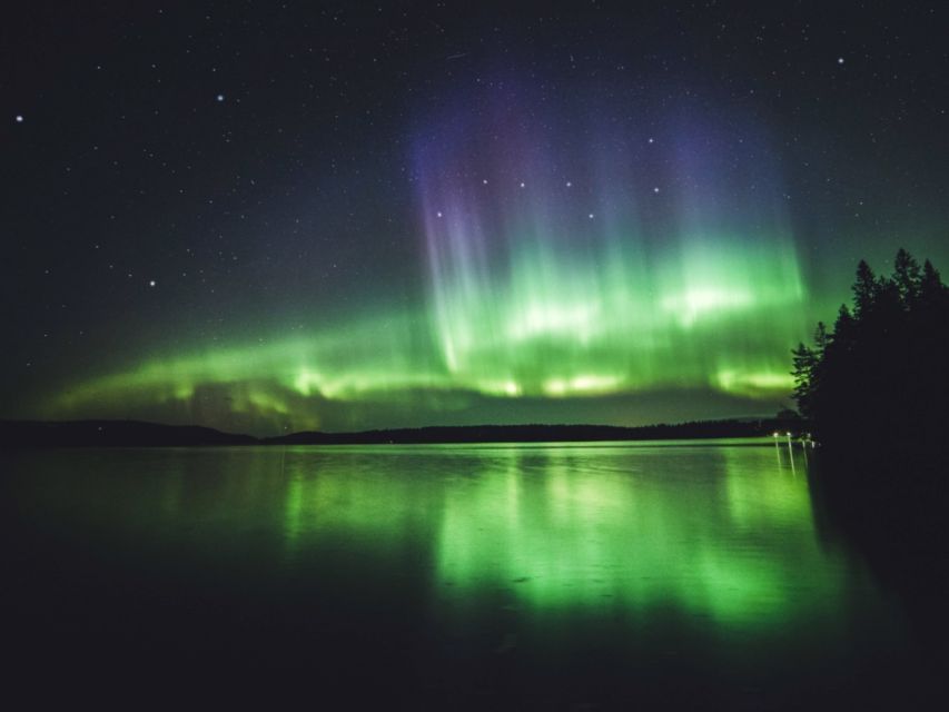 Rovaniemi: Northern Lights Tour with Guaranteed Sightings - What the guides add to the night