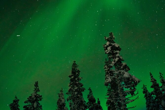 Rovaniemi: Northern Lights Tour - Fires, berry drinks, and the Finnish side of the evening