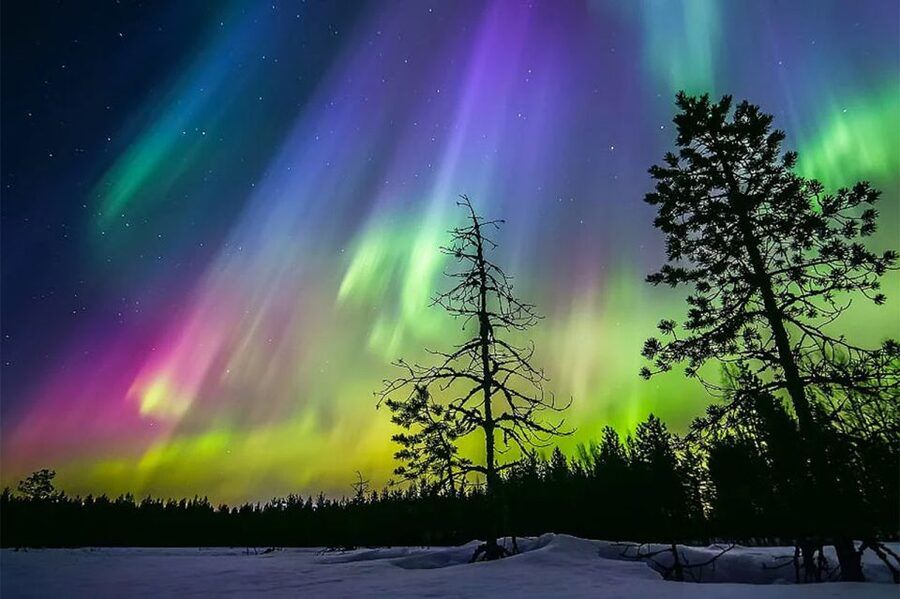 Rovaniemi: Northern Lights Trip with Arctic Sauna & Jacuzzi - What $101 means in value