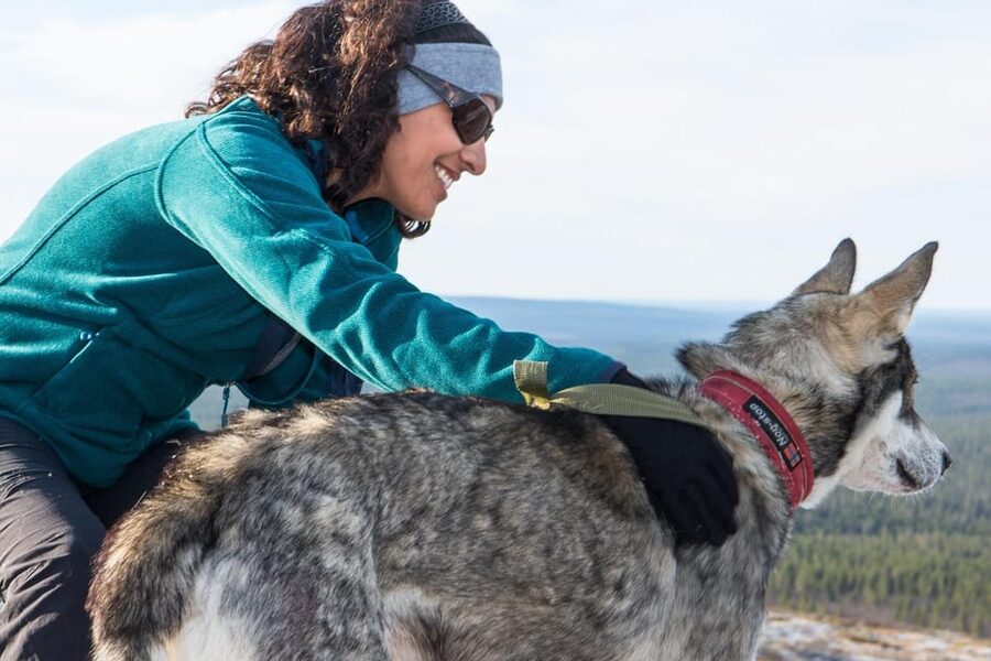 Rovaniemi: One Hour Husky Experience - Pickup from central Rovaniemi