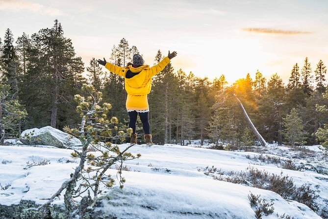 Rovaniemi photography tour - Is $433.06 a fair price?