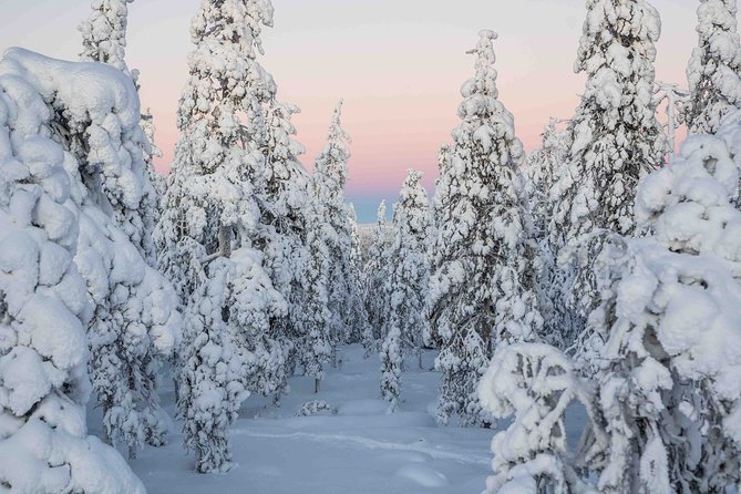 Rovaniemi photography tour - Who should book this experience?