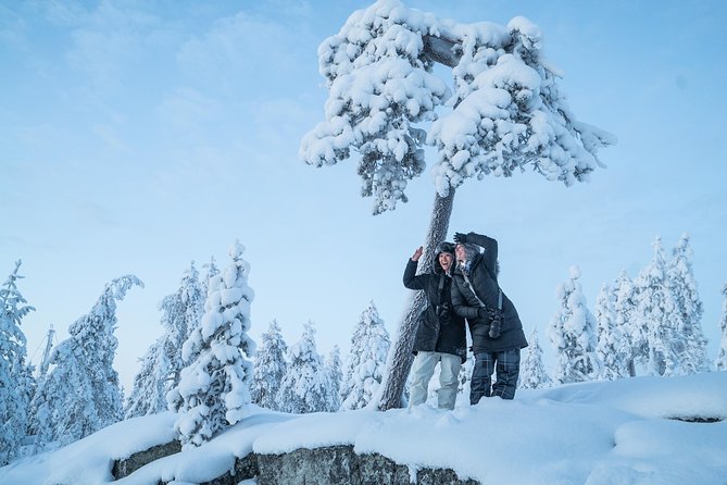 Rovaniemi photography tour - Ounasvaaran Lookout and snowy nature