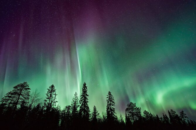 Rovaniemi: Private Aurora Tour with Guaranteed Sightings - The guide matters more than the route
