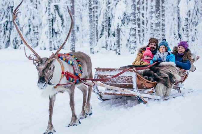 Rovaniemi Private Transfer from Rovaniemi city centre to Rovaniemi airport - Reliability matters more than comfort