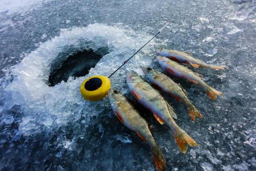 Rovaniemi: Quad Bike Ride and Ice Fishing - Drilling through the ice for a traditional catch