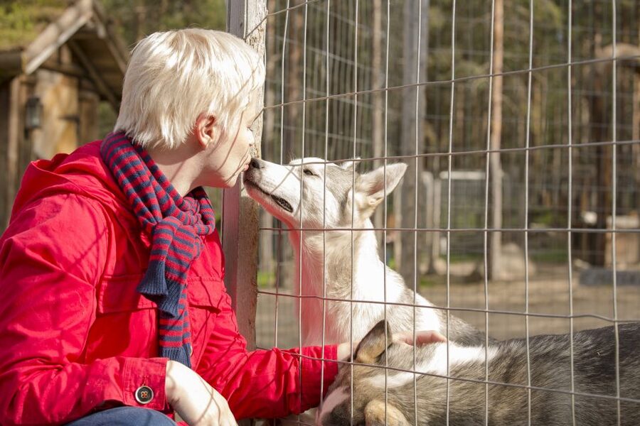 Rovaniemi: Quad Bike Safari, Reindeer & Husky Farm Visit - What this Rovaniemi outing is really about