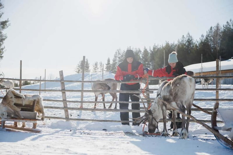 Rovaniemi: Reindeer Experience with Sleigh Ride - Getting dressed for Lapland weather
