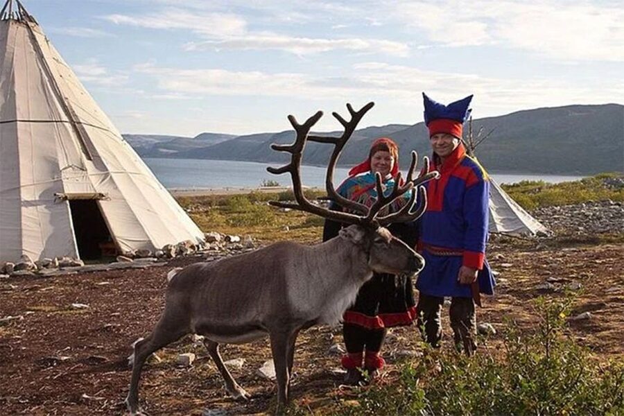 Rovaniemi: Reindeer Farm Visit in the Summer - Who will enjoy this farm visit most