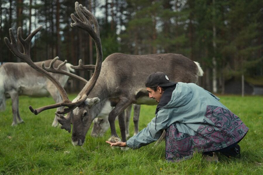 Rovaniemi: Reindeer Farm Visit with Photographer - Cold-weather planning and practical limits