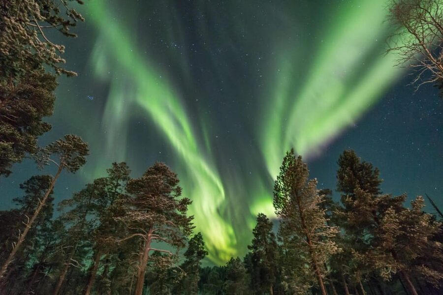 Rovaniemi: Reindeer Safari and Northern Lights Tour - Looking for the Northern Lights without false promises