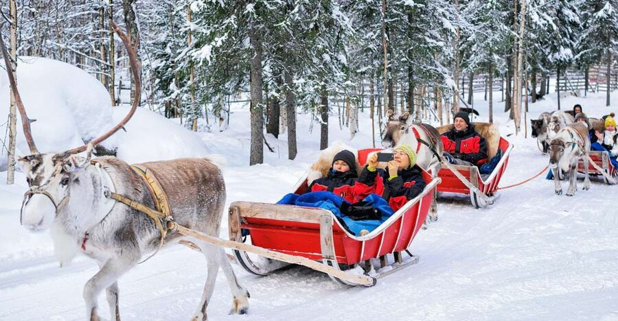 Rovaniemi: Reindeer Sleigh Ride with Hot Drink and Cookies - Key points to know before booking