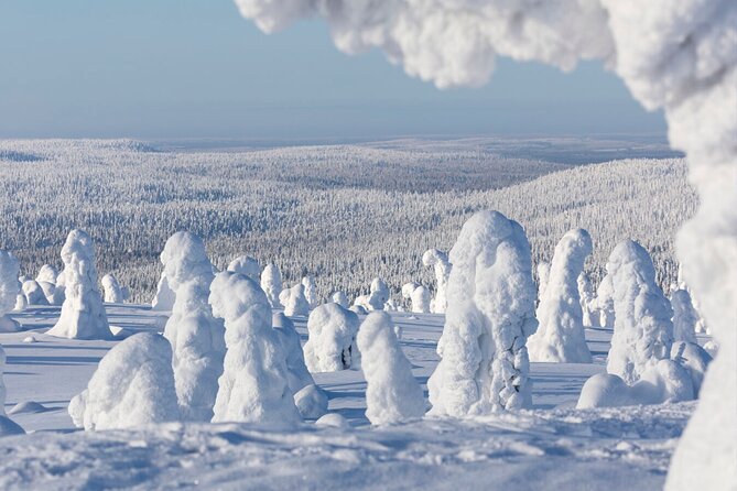 Rovaniemi: Riisitunturi Full-Day Wilderness Adventure & BBQ - Is $336.27 a fair price?