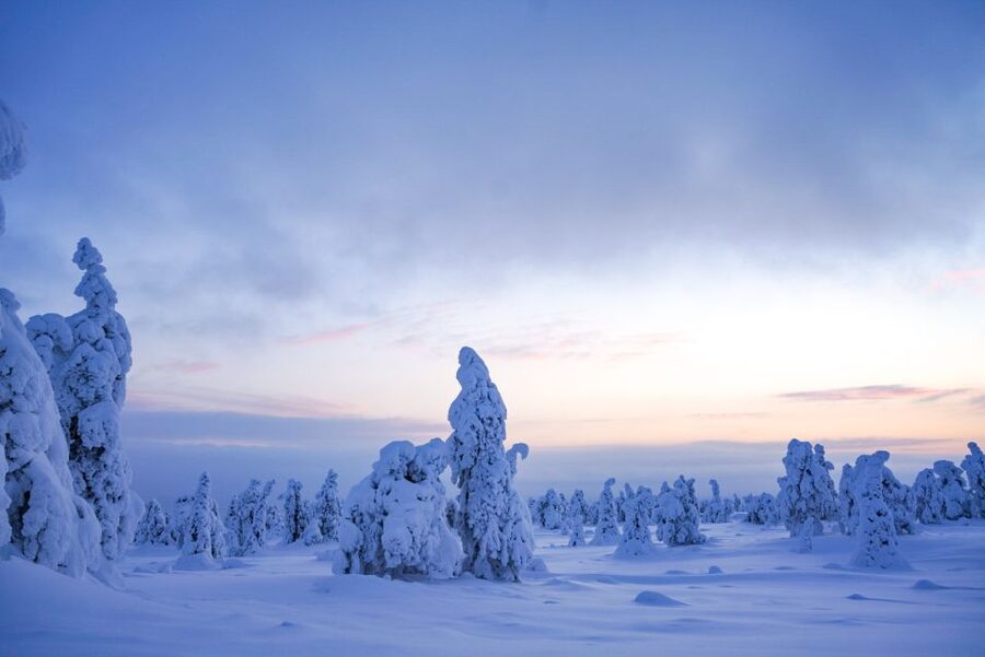 Rovaniemi: Riisitunturi National Park Day Trip with Lunch - The two-hour drive from Rovaniemi