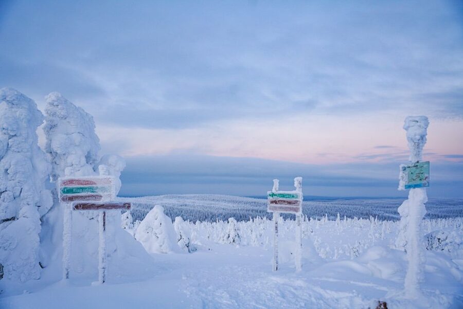 Rovaniemi: Riisitunturi National Park Day Trip with Lunch - What the $223 price includes