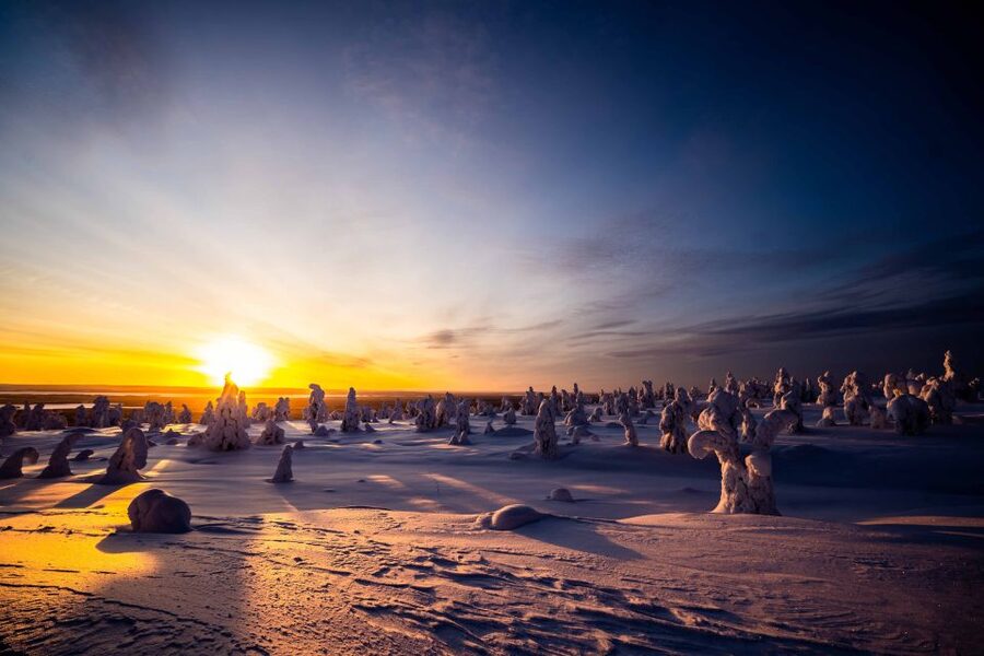 Rovaniemi: Riisitunturi National Park with Pro Photos & BBQ - Booking details that affect your decision