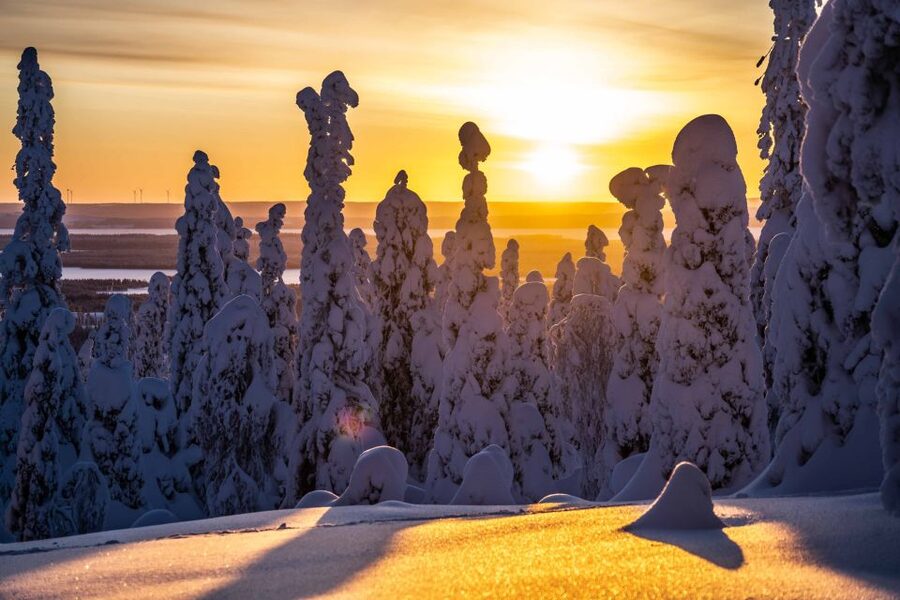 Rovaniemi: Riisitunturi National Park with Pro Photos & BBQ - Views that depend on snow and weather