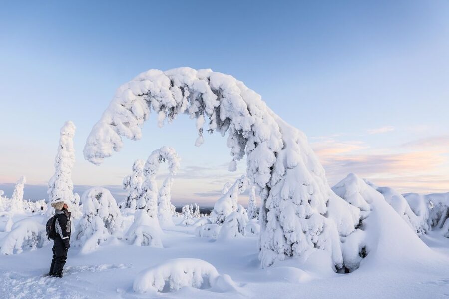 Rovaniemi: Riisitunturi National Park with Pro Photos & BBQ - Campfire lunch in the middle of the park