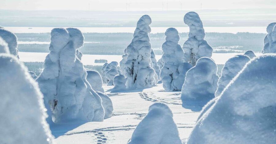 Rovaniemi: Riisitunturi National Park with Pro Photos & BBQ - Warm clothing and gear included