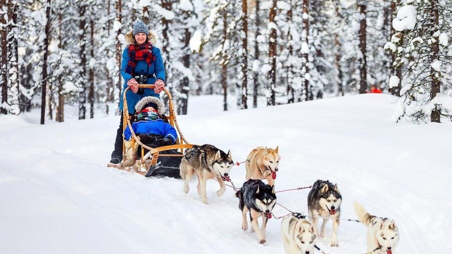 Rovaniemi: Santa Claus Village + Husky & Reindeer Sled Ride - Starting with Santa Claus Village in Rovaniemi