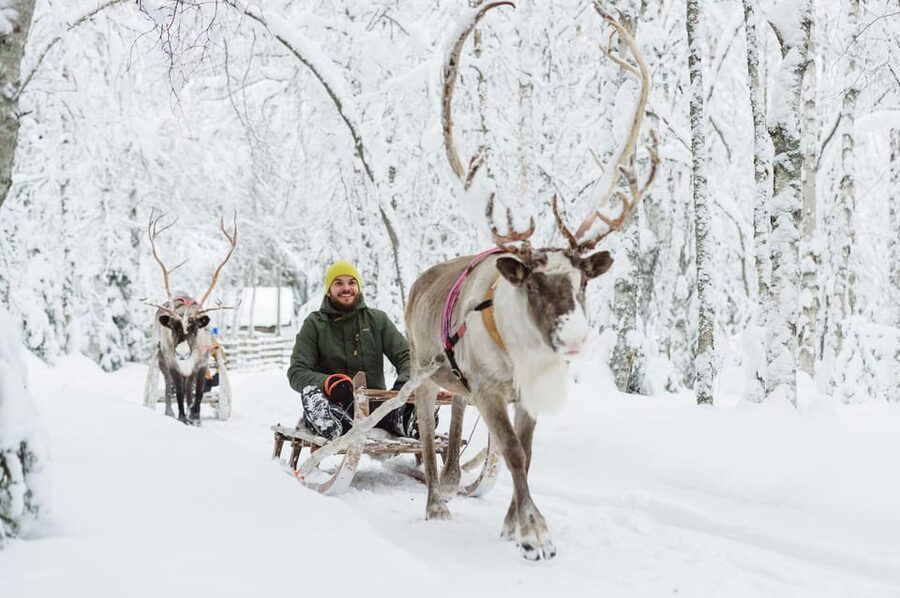Rovaniemi: Santa Claus Village + Husky & Reindeer Sled Ride - What the Arctic Circle setting adds