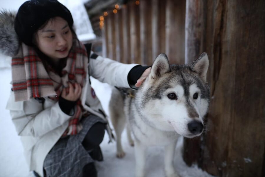 Rovaniemi: Santa Claus Village Tour Huskies & Reindeer ride - Is $235 a Fair Price?