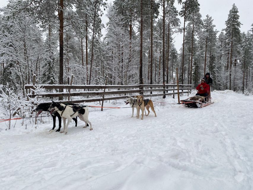 Rovaniemi: Santa Claus Village Tour Huskies & Reindeer Visit - What the 4.5-hour schedule means