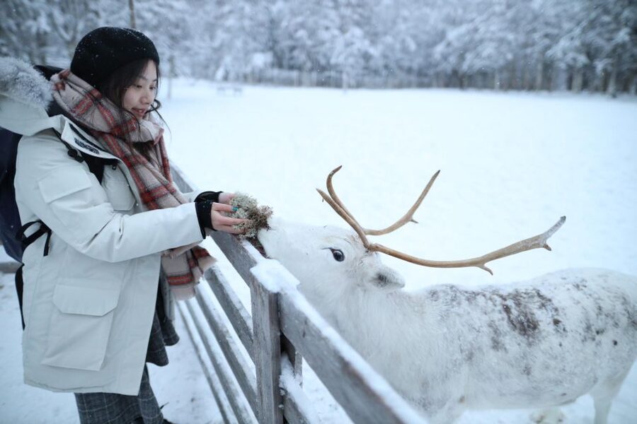 Rovaniemi: Santa Claus Village Tour Huskies & Reindeer Visit - Should you book it?