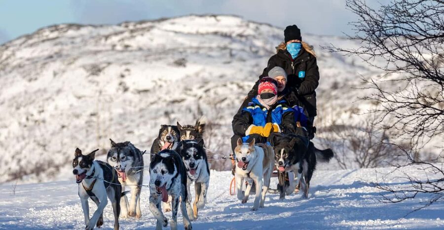 Rovaniemi: Santa's Village, Husky, & Reindeer Sled Ride - The husky farm and the reality of the sled ride