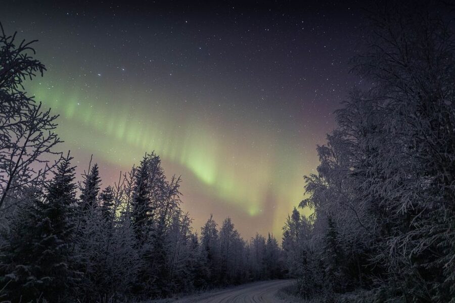 Rovaniemi: Sauna & Ice Swimming Tour with Dinner and Aurora - Smoked salmon beside a cottage fire