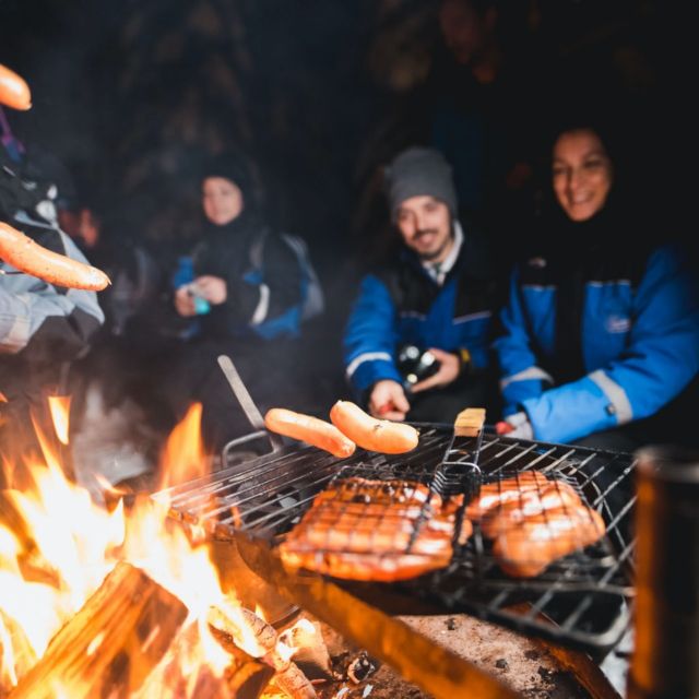 Rovaniemi: Search for Northern Lights Snowmobiling Trip - What happens at the Wild Nordic Finland Safari Center