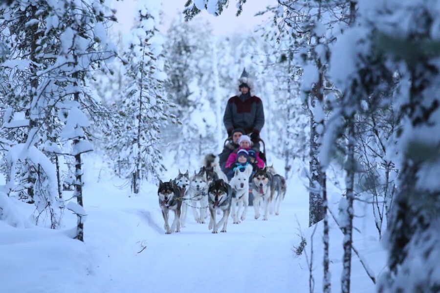 Rovaniemi: Self-Drive Husky Sleigh Ride Adventure - Meeting the dogs and the mushers