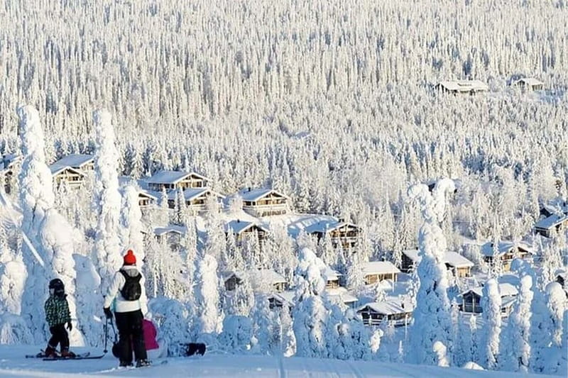 Rovaniemi: Slalom and Alpine Skiing - A guide-led day, not a free-for-all rental
