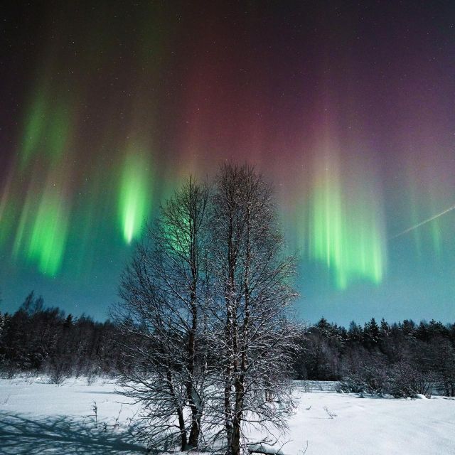 Rovaniemi: Small Group Aurora Hunt-full money back guarantee - The drive beyond Rovaniemi