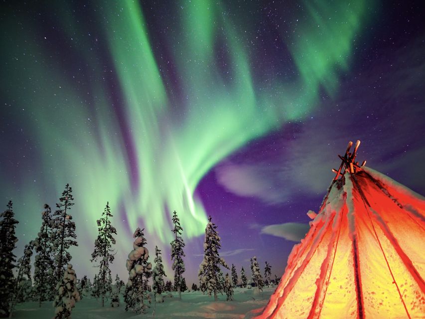 Rovaniemi: Small-Group Northern Lights Wilderness Tour - What the photography service is really worth