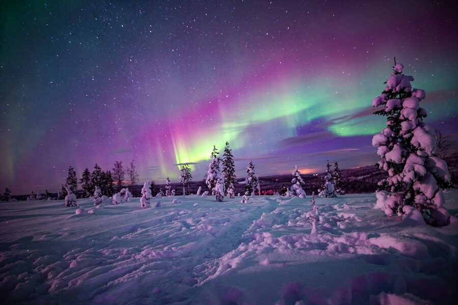 Rovaniemi: Small-Group Northern Lights Wilderness Tour - The value of $136 for four hours