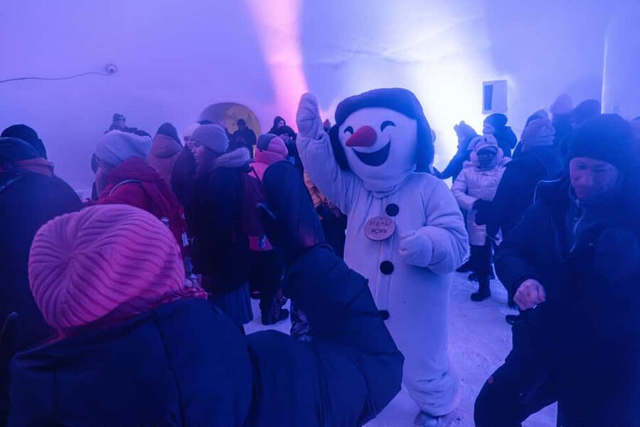 Rovaniemi: Snowman World Entrance Ticket - Snow Maze and Ice Sculptures