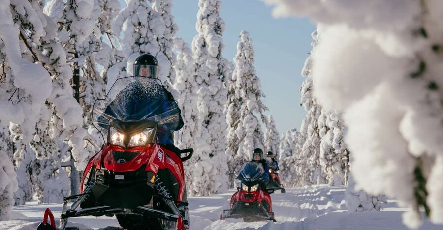 Rovaniemi: Snowmobile Adventure Tour for Adults Only - Learning the Machine in the Woodland