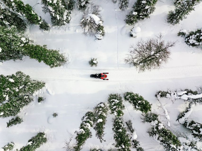 Rovaniemi: Snowmobile Safari Adventure - Key points to know before you book