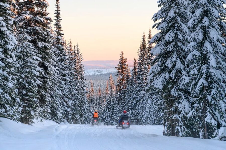 Rovaniemi: Snowmobile Safari Adventure - Is $93 a fair price?