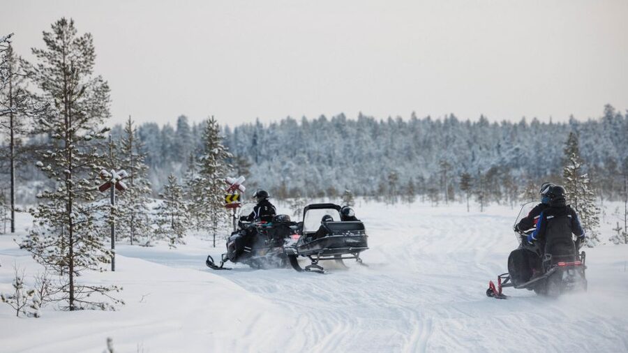 Rovaniemi: Snowmobile Safari in the Arctic Circle - Riding Through the Arctic Circle Forests