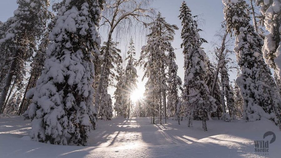 Rovaniemi: Snowmobile Safari into the Arctic Circle Forest - Bringing children in the guide’s sled