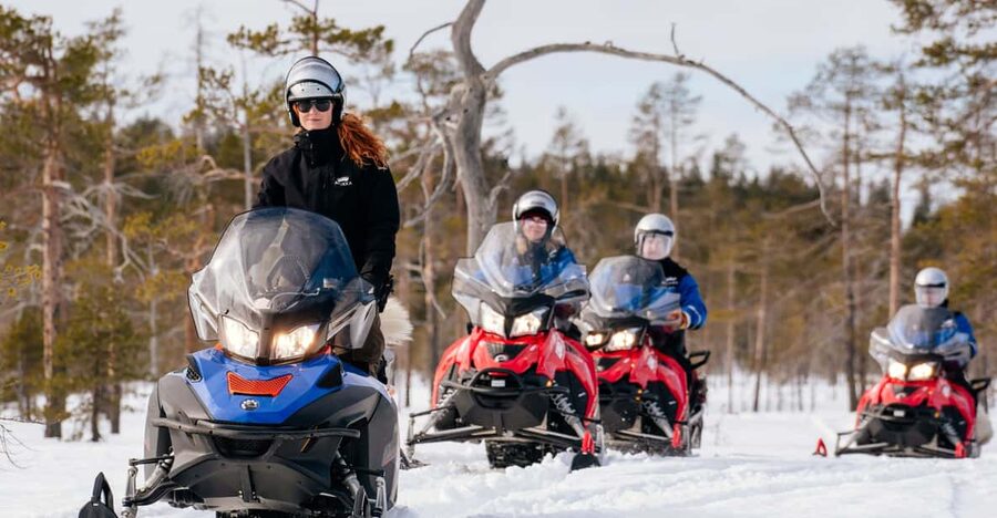 Rovaniemi: Snowmobile Safari into the Wilderness - Into the pine forest and frozen marshes
