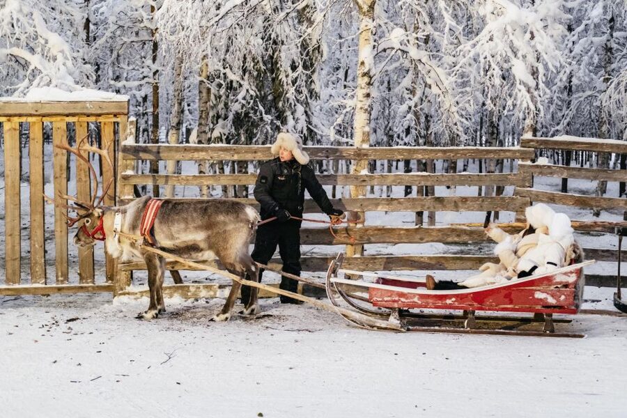 Rovaniemi: Snowmobile Safari, Reindeer & Husky Sleigh Ride - Who should book this experience?