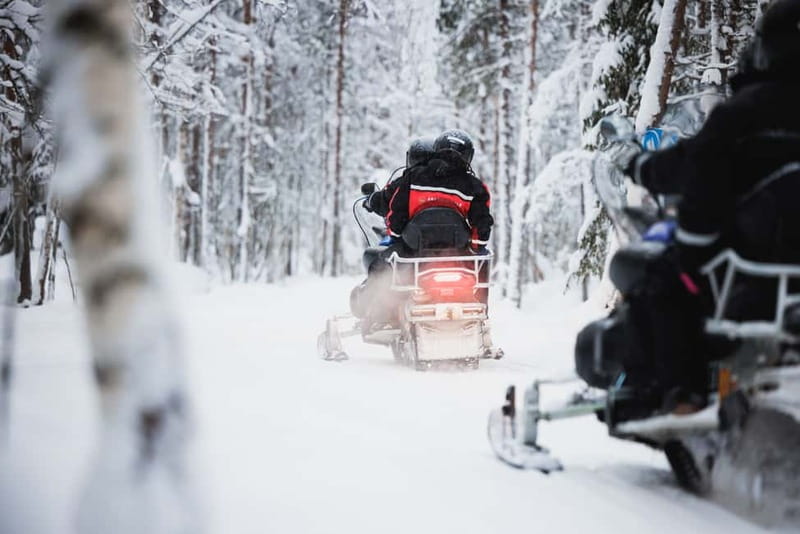 Rovaniemi: Snowmobile Tour and Reindeer Experience - Safety, insurance, and the hidden cost to notice