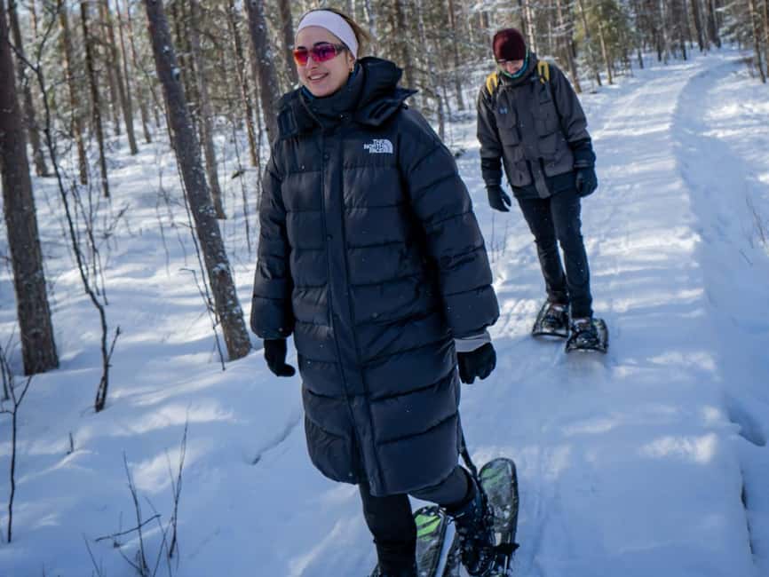 Rovaniemi: Snowshoe Adventure at Vikaköngäs & Barbeque - Who Will Enjoy This Snowshoe Tour